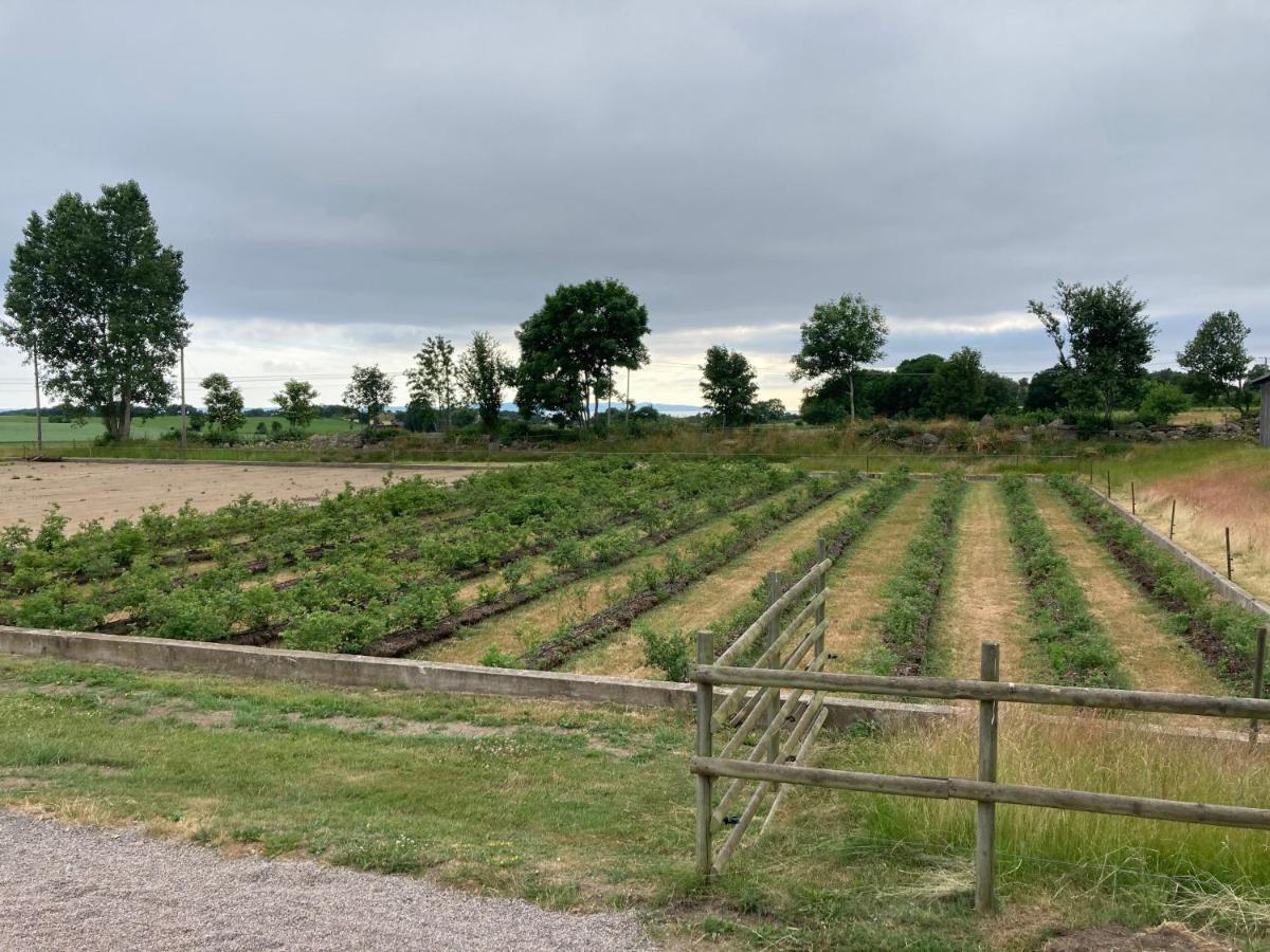 Fin Laegenhet Pa Bjaere Med Naera Till Natur Och Noeje Båstad Exterior foto